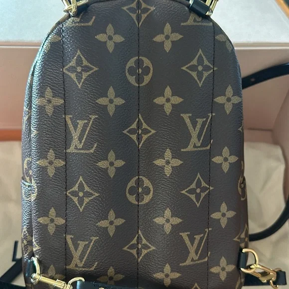 Louis Vuitton Palm Springs Mini Backpack - Picture 3 of 5
